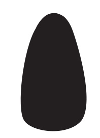 Ilustrační obrázek