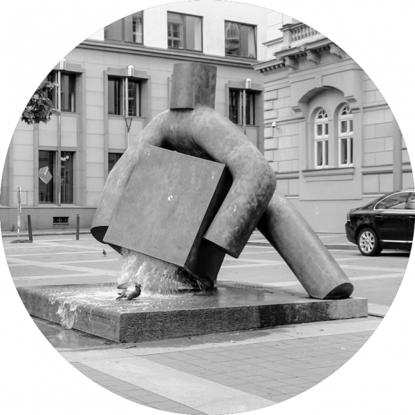 svobodahover-600x600.png