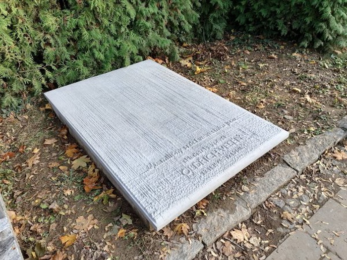 Veselý-600x450.jpg